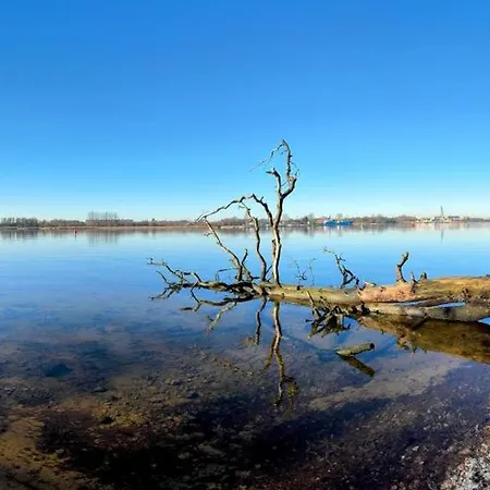 Sunlit Garden - Ruhig Am Wald Nahe Warnow - Kamin * Rostock