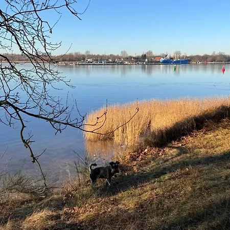 Sunlit Garden - Ruhig Am Wald Nahe Warnow - Kamin Lägenhet Rostock