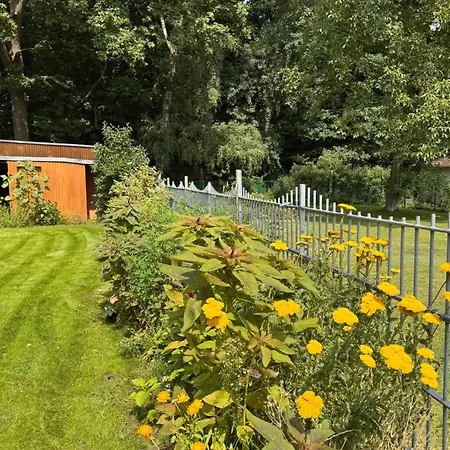 Sunlit Garden - Ruhig Am Wald Nahe Warnow - Fasssauna - Kamin Apartment Rostock
