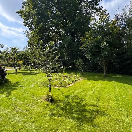 Lägenhet Sunlit Garden - Ruhig Am Wald Nahe Warnow - Kamin