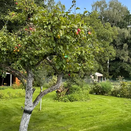 Sunlit Garden - Ruhig Am Wald Nahe Warnow - Fasssauna - Kamin * Rostock