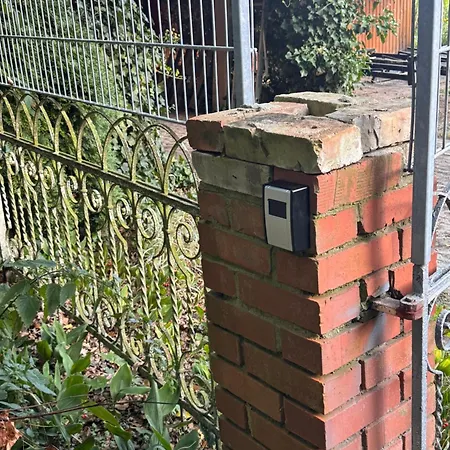 Sunlit Garden - Ruhig Am Wald Nahe Warnow - Kamin *