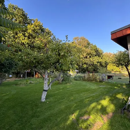 Sunlit Garden - Ruhig Am Wald Nahe Warnow - Kamin Lägenhet